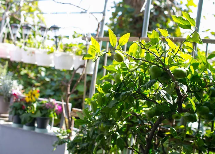 Stylish Pepa With Free Parking - Apartman Abbázia