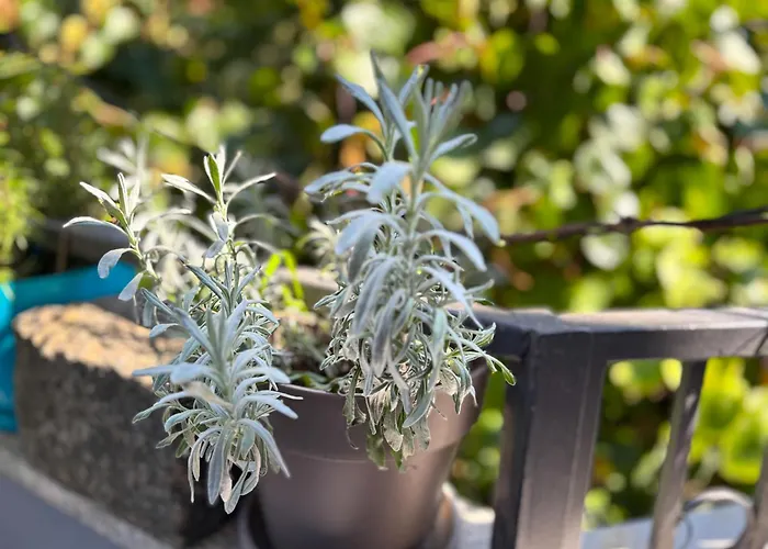 Apartman Stylish Pepa With Free Parking -