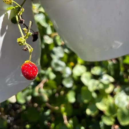 Stylish Pepa With Free Parking - *