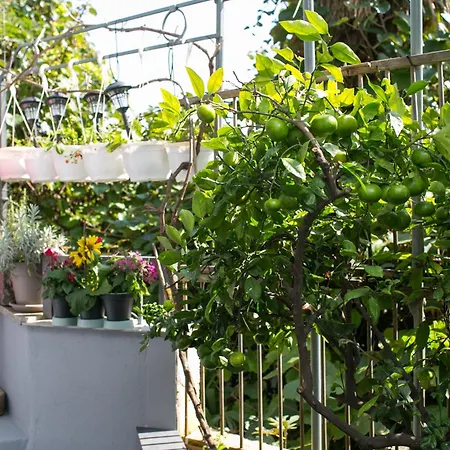 公寓 Stylish Pepa With Free Parking -